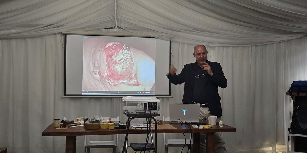 Apitherapie-Seminare Herbst 2025